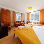 Alpin - 91 Hotell