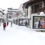 Hotell Alpin - 91