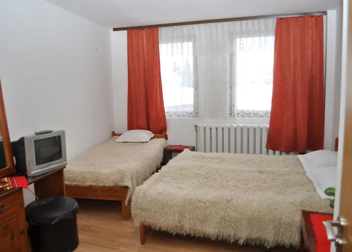 Alpin - 91 班斯科