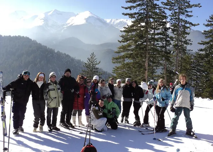 酒店 Alpin - 91 班斯科