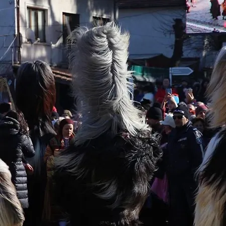 Alpin - 91 2* 班斯科