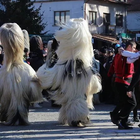 Family Alpin - 91 - 1 Min Walk To Centre 2* Bansko