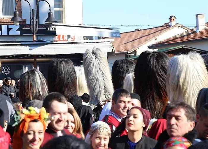 Отель Alpin - 91 Банско