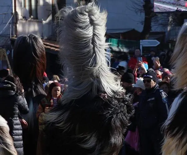 Alpin - 91 2* Bansko