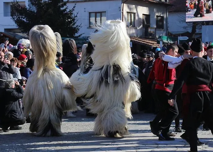 Alpin - 91 2* Bansko