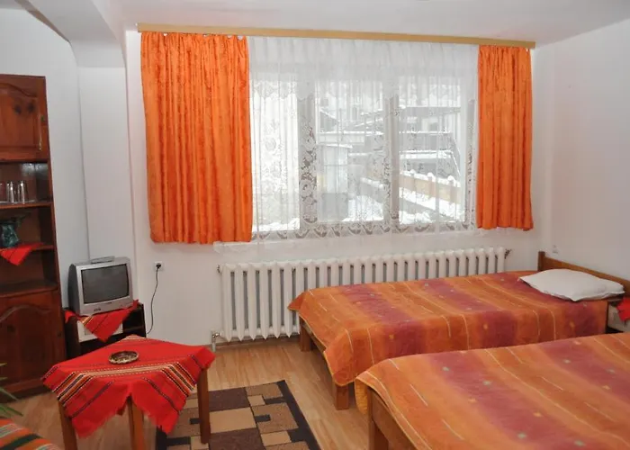 Hotel Alpin - 91 Bansko