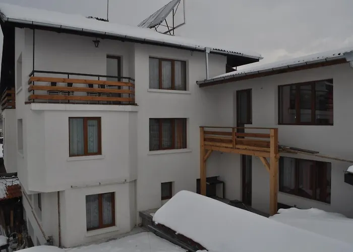 Hotel Alpin - 91 Bansko