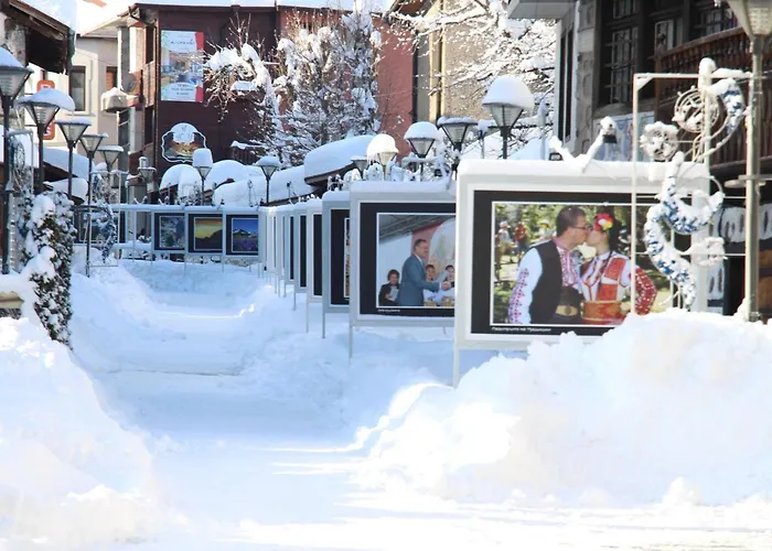 Hotel Alpin - 91 Bansko