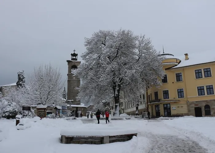 Alpin - 91 Hotel Bansko